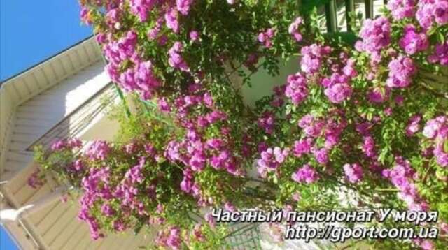 Отель Пансiонат У моря Железный Порт-25